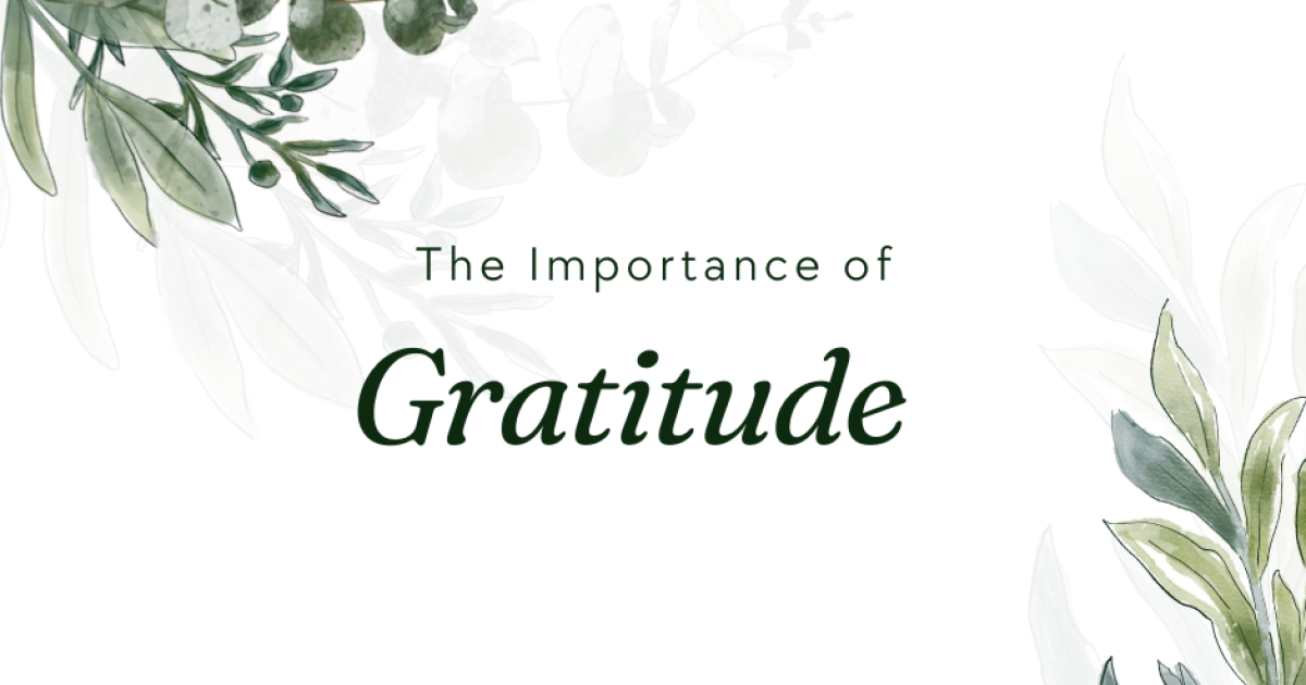 gratitude, happiness, lifestyle, mindfulness, thankful